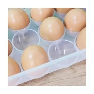 Begale Juego de 2 hueveras de plástico transparente