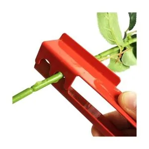 Tihood Juego de 3 peladores de espinas y hojas para