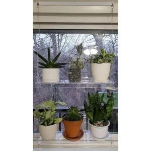 SupremeTech Estantes colgantes de acrílico para ventanas