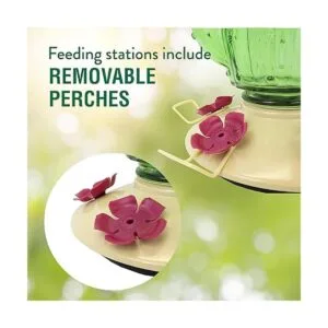 PerkyPet 91111SR Comedero de vidrio para colibríes con_4