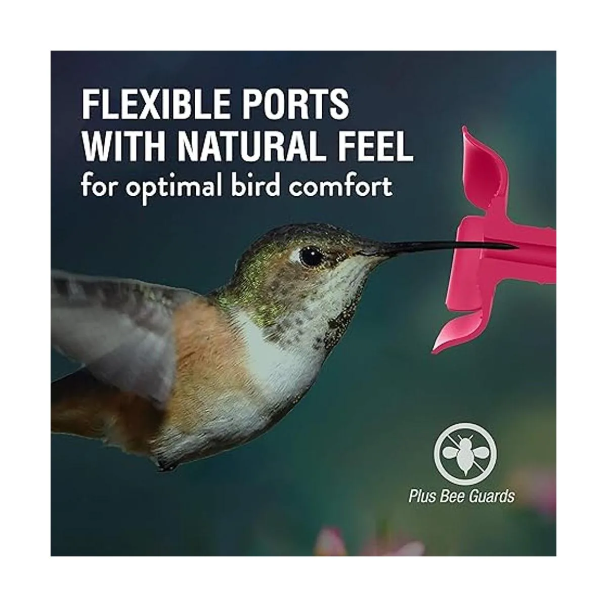 PerkyPet 91111SR Comedero de vidrio para colibríes con_5