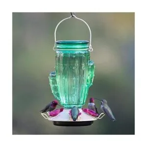 PerkyPet 91111SR Comedero de vidrio para colibríes con_2