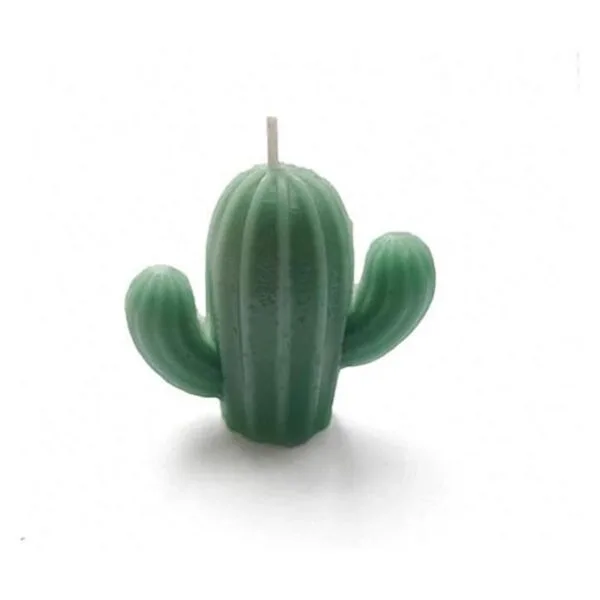 Moldes de vela de silicona 3D cactus plantas suculentas
