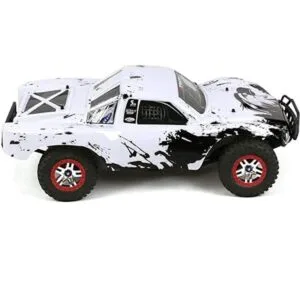 Estilo de águila de cuerpo personalizado compatible con_2