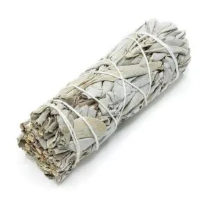 Paquete de salvia morada y blanca de cañón Palo de_4