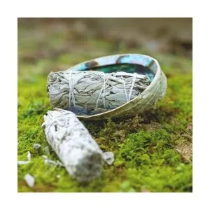 Paquete de salvia morada y blanca de cañón Palo de_6