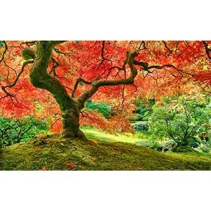 Pintoo Rompecabezas de 1000 piezas para adultos jardín_1