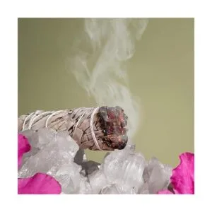 Paquete de salvia morada y blanca de cañón Palo de_5