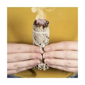 Paquete de salvia morada y blanca de cañón Palo de_2