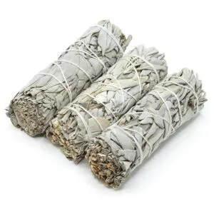 Paquete de salvia morada y blanca de cañón Palo de_3