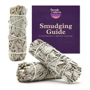 Paquete de salvia morada y blanca de cañón Palo de_1