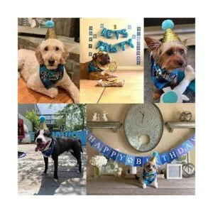 ADOGGYGO Bandana de cumpleaños para perro niña y niño_2