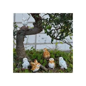 5 piezas de búhos de jardín en miniatura mini animales