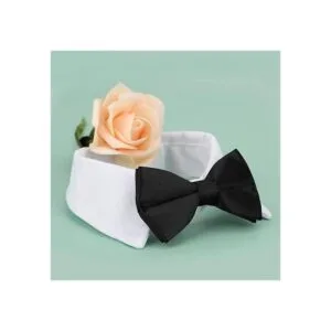 Collar de esmoquin para perro collar de perro con_4