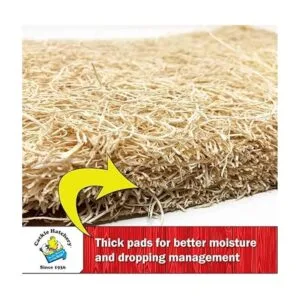Cackle Hatchery Placing Hen Nest Box Pads 13 x 13