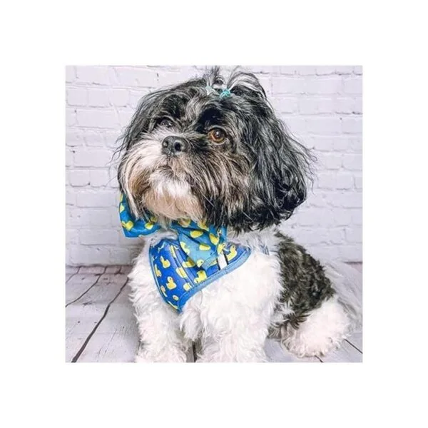 Huxley Kent Pajarita para mascotas Lucky Ducky
