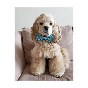 Huxley Kent Pajarita para mascotas Lucky Ducky