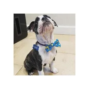 Huxley Kent Pajarita para mascotas Lucky Ducky