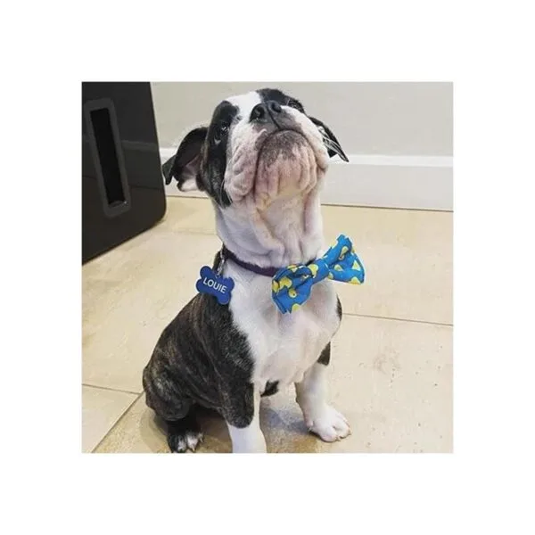 Huxley Kent Pajarita para mascotas Lucky Ducky
