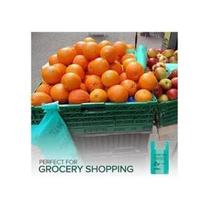 Stock Your Home Bolsas ecológicas para comestibles 100