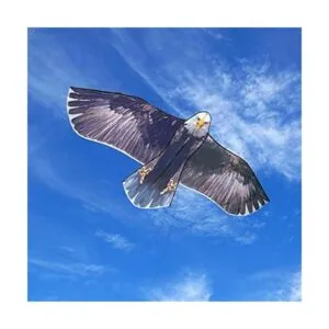 Cometa Jekosen gigante de águila calva 70 pulgadas_3