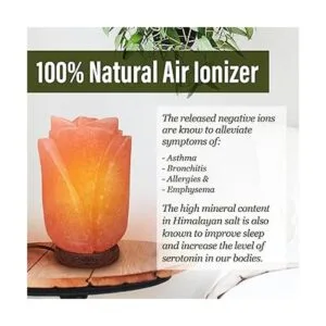 Nevlers Lámpara de sal del Himalaya tallada a mano_3