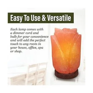 Nevlers Lámpara de sal del Himalaya tallada a mano_5