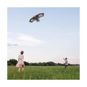 Cometa Jekosen gigante de águila calva 70 pulgadas_4