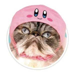 Kitan Club Gorro para gato caja sorpresa con 1 de los 5