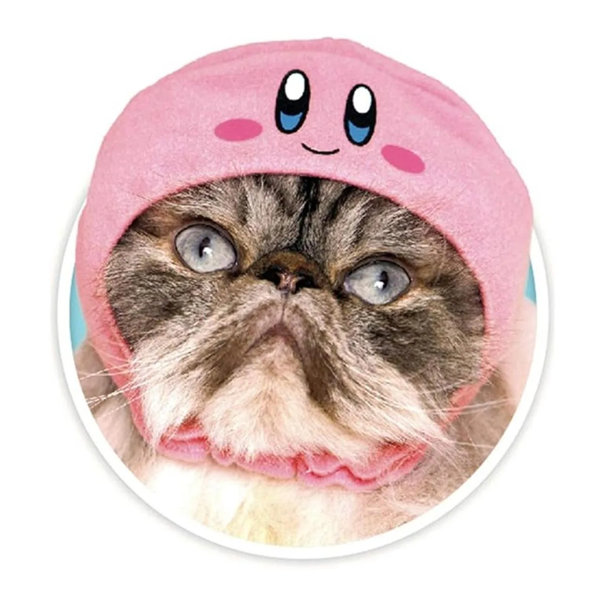 Kitan Club Gorro para gato caja sorpresa con 1 de los 5