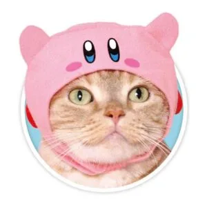 Kitan Club Gorro para gato caja sorpresa con 1 de los 5