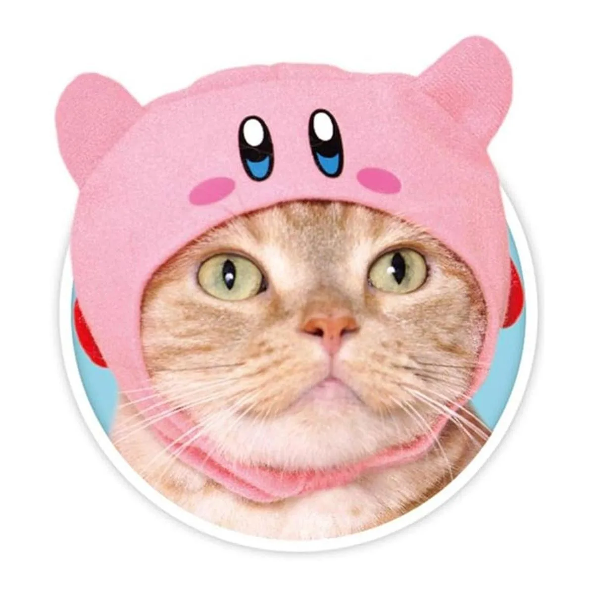 Kitan Club Gorro para gato caja sorpresa con 1 de los 5