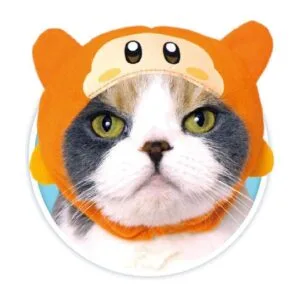 Kitan Club Gorro para gato caja sorpresa con 1 de los 5