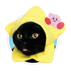 Kitan Club Gorro para gato caja sorpresa con 1 de los 5