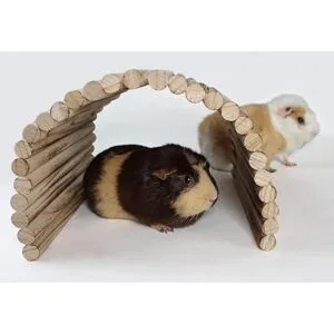 Escondite de madera flexible extra grande casa túnel_6