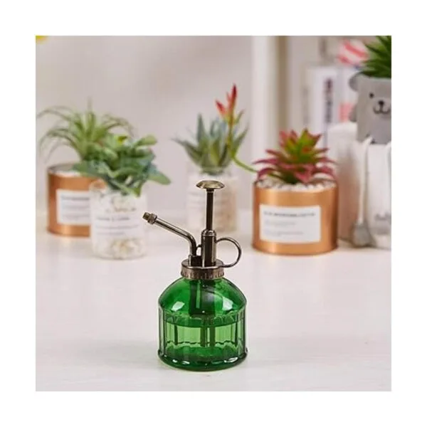 Ebristar Botella de spray de vidrio Mister para plantas de