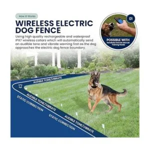 My Pet Command Sistema de cerca subterráneo inalámbrico_3