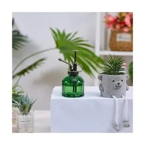 Ebristar Botella de spray de vidrio Mister para plantas de