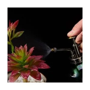 Ebristar Botella de spray de vidrio Mister para plantas de