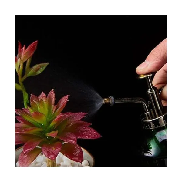 Ebristar Botella de spray de vidrio Mister para plantas de