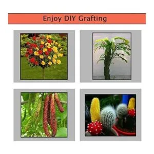 Krewey Kit de podadora de herramientas de injerto de