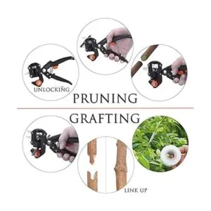 Krewey Kit de podadora de herramientas de injerto de