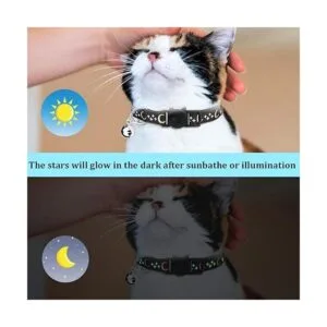 6 collares de gato separados con campana luna dorada