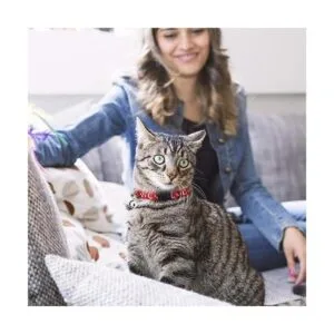 6 collares de gato separados con campana luna dorada