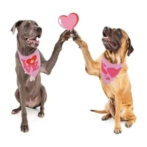 Bandana para perros del día de la madre con diseño de_4