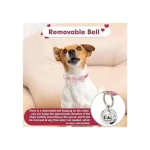 PUPTECK Collar de perro de primavera con campana