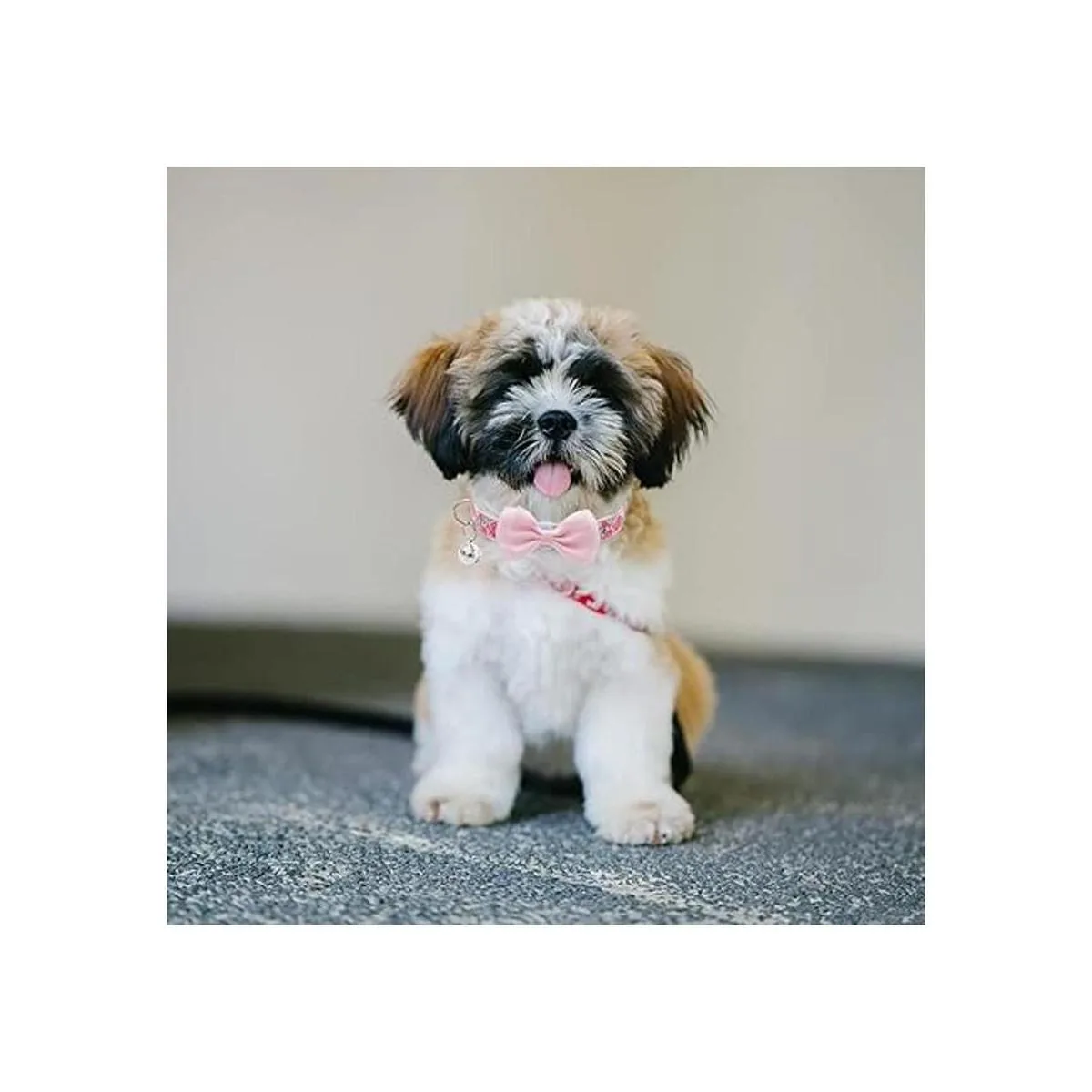 PUPTECK Collar de perro de primavera con campana