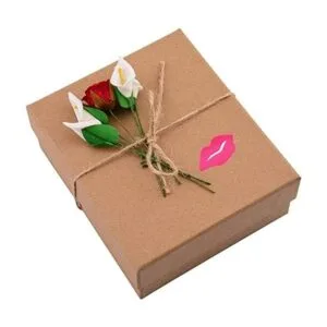 Pegatinas para labios pegatinas extraíbles_2