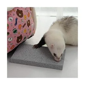 Litewoo Tablero rascador de conejos molares y patas