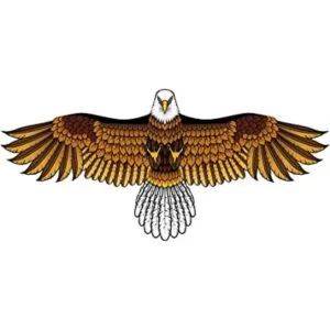 Eagle Kite para niños y adultos con envergadura de 60_1
